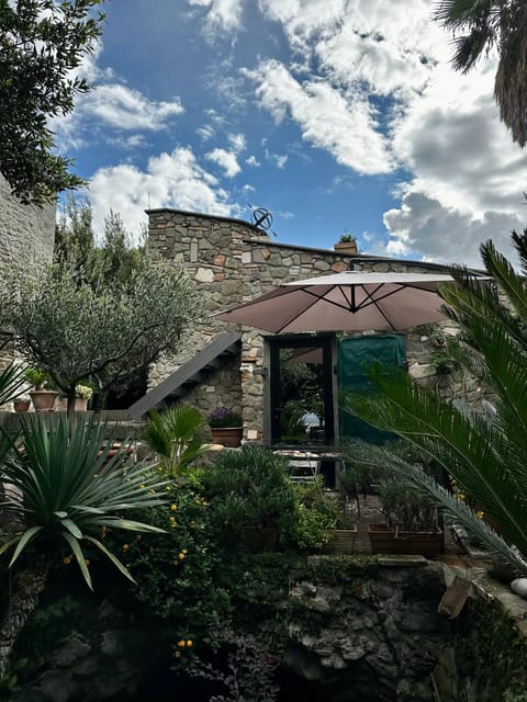 Property building, Day, Garden, Garden view