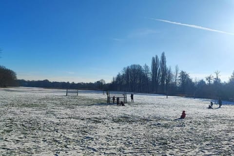 Day, Natural landscape, Winter