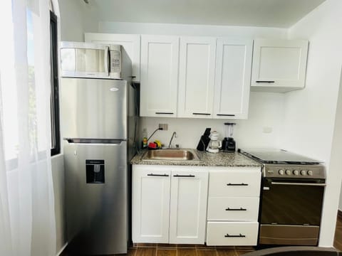 Kitchen or kitchenette, dishwasher, oven