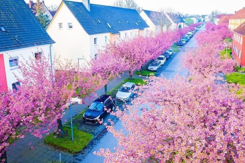 Spring, Neighbourhood, Bird's eye view, Street view, Location