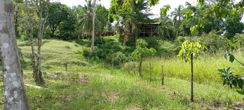 Sconfra creek Maison de campagne in South Caribbean Coast Autonomous Region