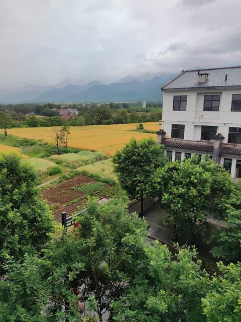 Day, Natural landscape, Garden, Mountain view