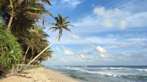 Nearby landmark, Day, Beach