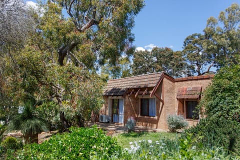 Property building, Garden, Garden view