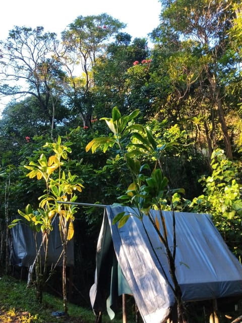 Tahiti Natura Lodge Campground/ 
RV Resort in Moorea-Maiao