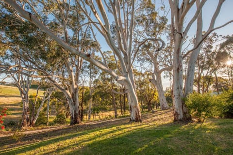 Discovery Parks - Hahndorf Campground/ 
RV Resort in Hahndorf