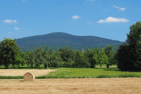 Nearby landmark, Natural landscape