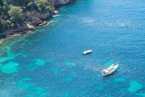 Les terrasses de Cap d Ail 2 - Vue Mer Apartment in Cap-d'Ail