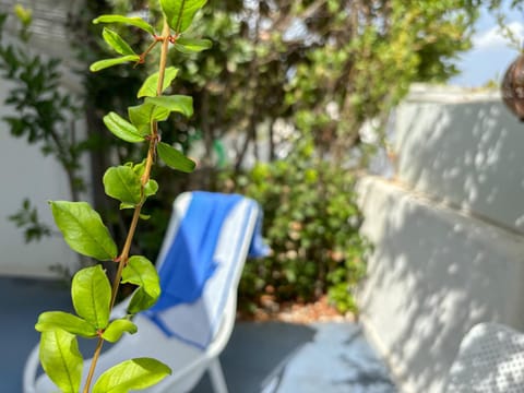 Garden, Garden view