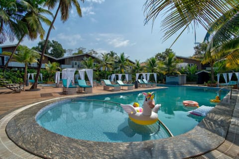 Pool view, Swimming pool, sunbed