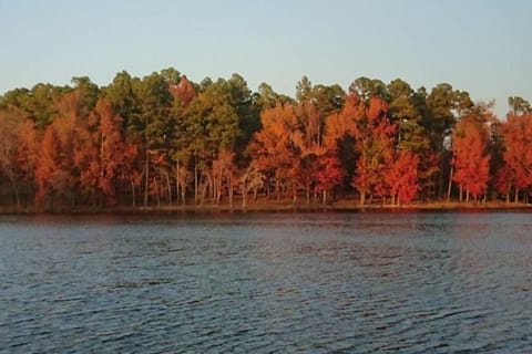 Bradford Place Apartment in Fayetteville