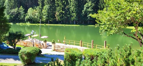Hotel Bad Neunbrunnen am Waldsee - non Halal Hotel in Salzburgerland
