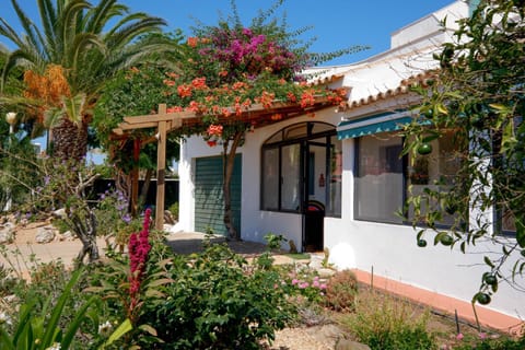 Property building, Garden, Garden view