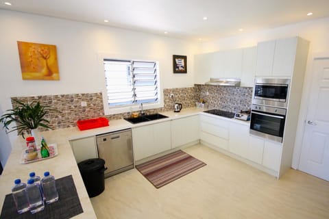 Kitchen or kitchenette, dishwasher, minibar, oven