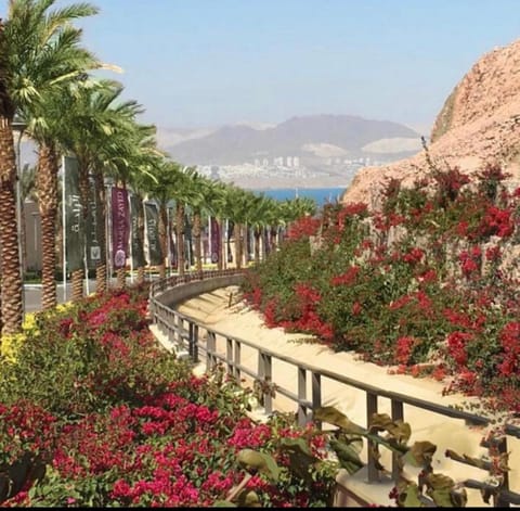 Alraha village-aqaba قرية الراحة- مرسى زايد -العقبة Apartment hotel in Eilat