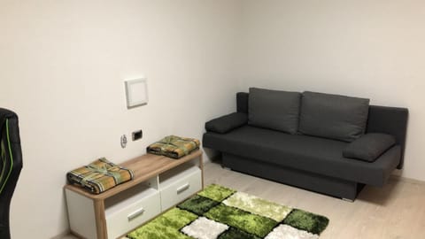 Ferienwohnung V91 Apartment in Bruneck