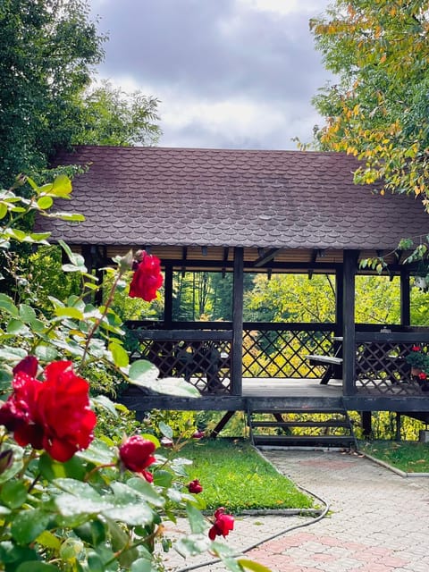 Pensiunea 7 Brazi Bed and Breakfast in Brașov County