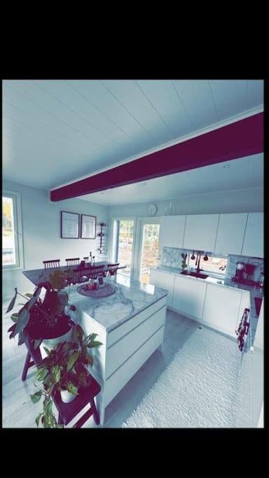 Kitchen or kitchenette, kitchen