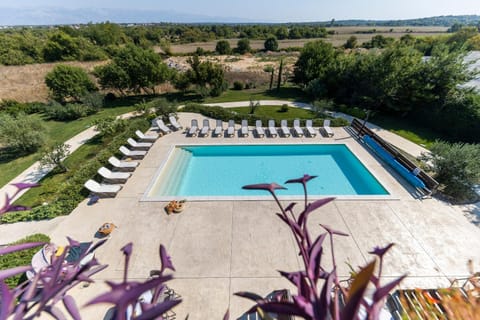 View (from property/room), Pool view