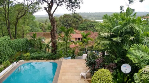 Pool view, Swimming pool