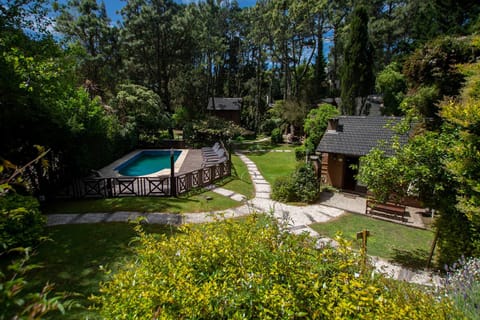 Garden, Swimming pool