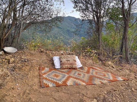 Topanga Panoramic View Loft with Trails & Creeks Casa in Topanga