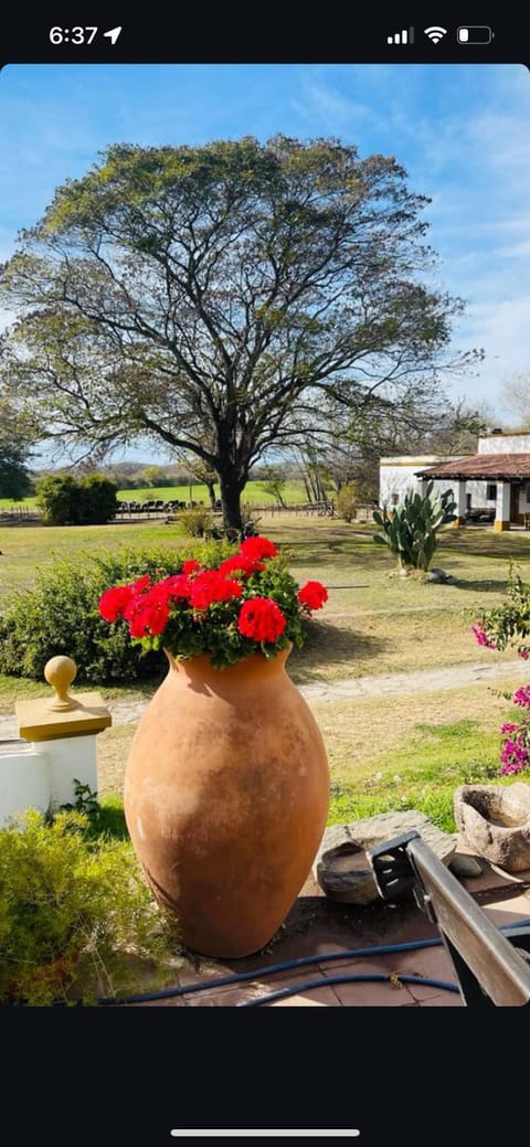 Estancia El Molino Zárate Sur Apartment in Tucumán Province, Argentina