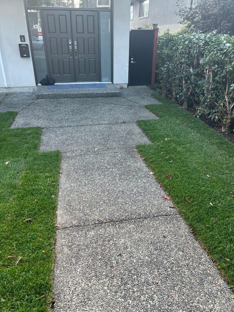 Property building, Day, Garden view