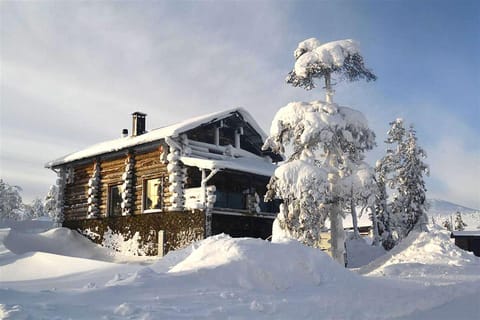 Property building, Winter