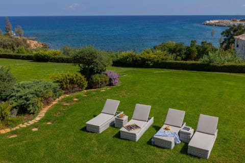 Patio, Garden, Garden view