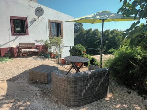 Garden, Garden, Balcony/Terrace