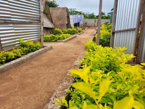 Spring, Day, Garden, Garden view