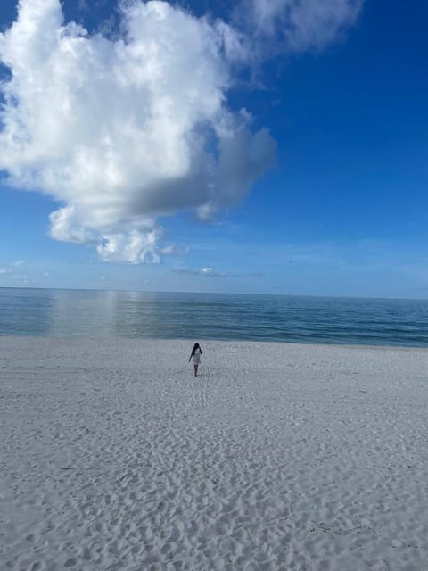 Natural landscape, Beach