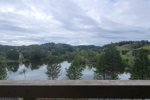 Douglas Oasis House in Douglas Lake