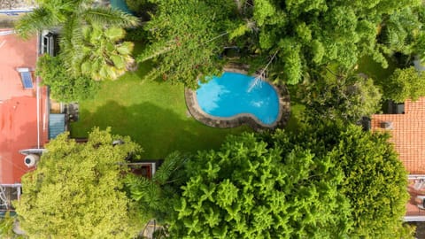 Spring, Bird's eye view, Garden, Swimming pool