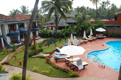 Garden, Pool view, Swimming pool, sunbed