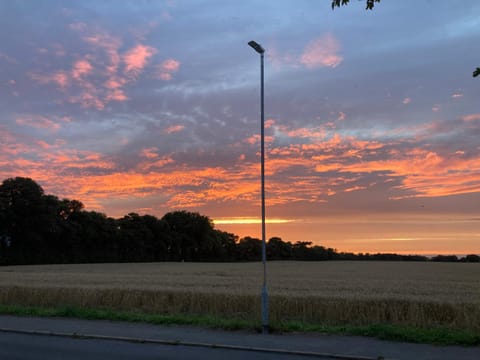 Night, Neighbourhood, View (from property/room), Sunset