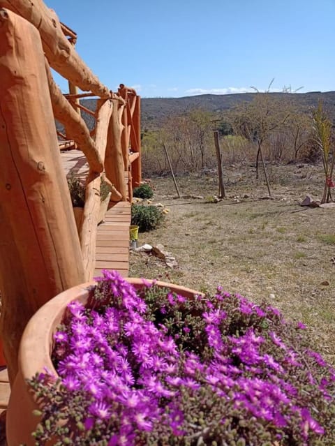 Casa Chachis House in Valle Hermoso