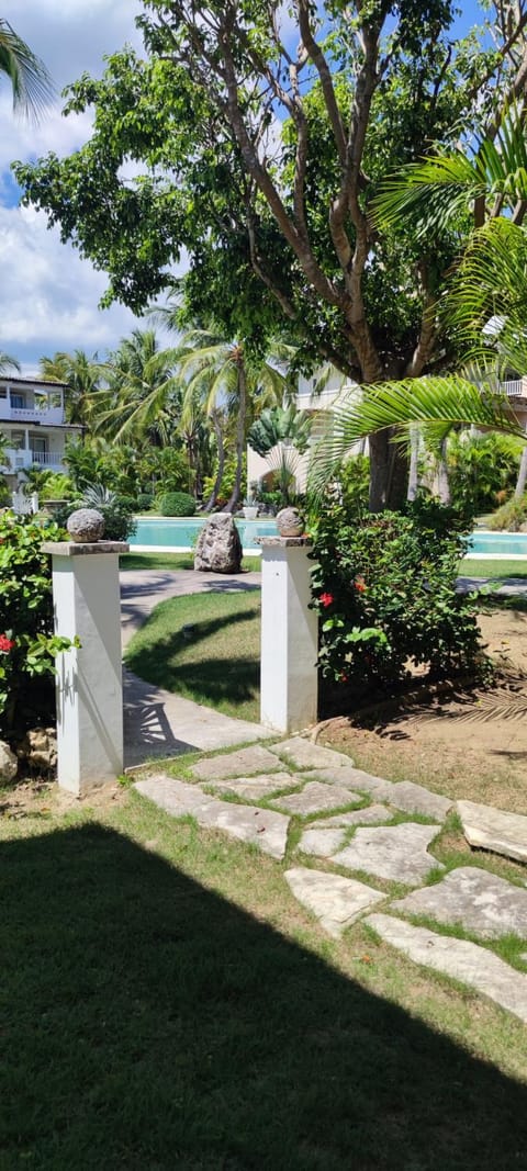 Garden, Pool view, Swimming pool