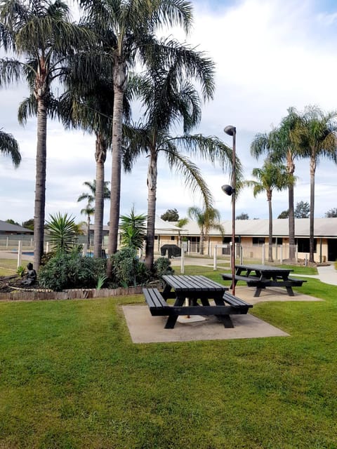 Day, Garden, Garden view