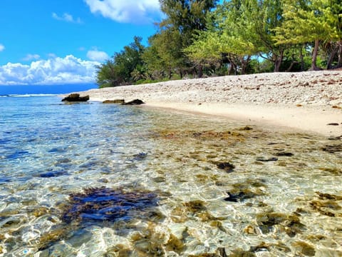 Day, Natural landscape, Beach, Sea view