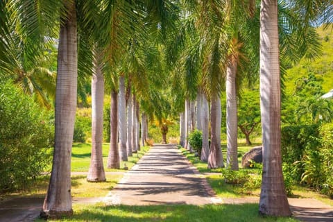 Natural landscape, Garden view