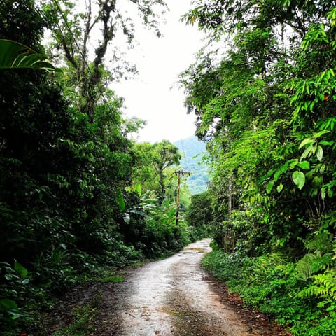 Casa Bacarirá - Floresta com Yoga e Café da Manhã Vegano Bed and Breakfast in São Sebastião