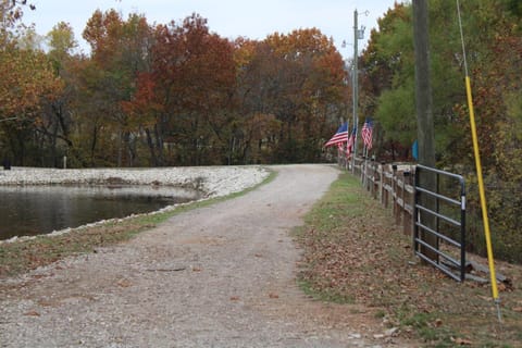 Lake view