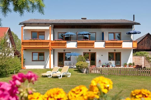 Day, Garden, Garden view, sunbed