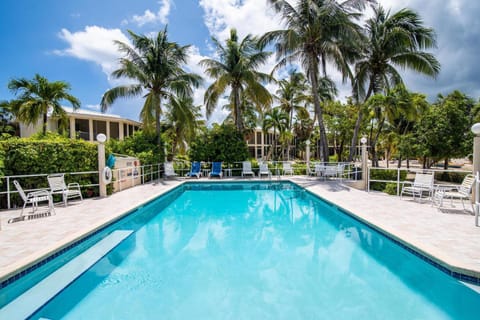 Day, Pool view, Swimming pool, sunbed