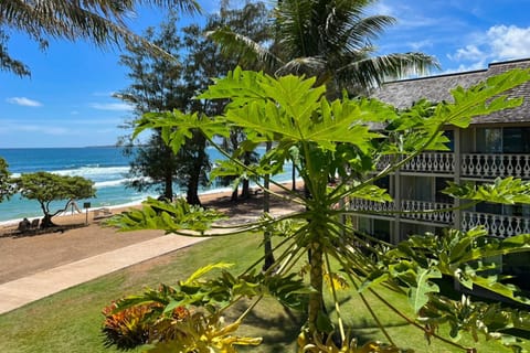 Islander on the Beach 164 Hôtel in Waipouli Beach