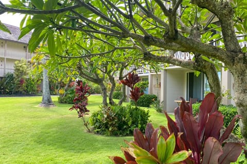 Islander on the Beach 164 Hôtel in Waipouli Beach