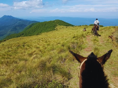 Horse-riding, Mountain view, Sea view