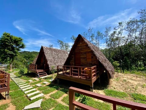 Property building, Day, Natural landscape, Garden, Garden view